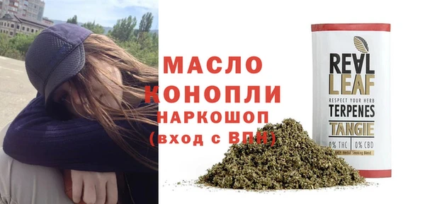 прущие грибы Сясьстрой