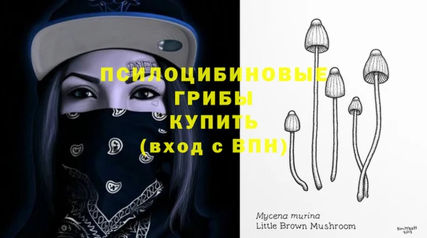 меф Гусиноозёрск