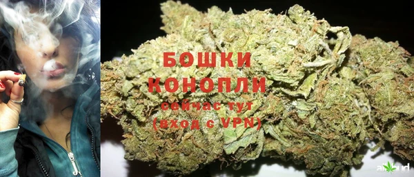 не бодяженный Гусев