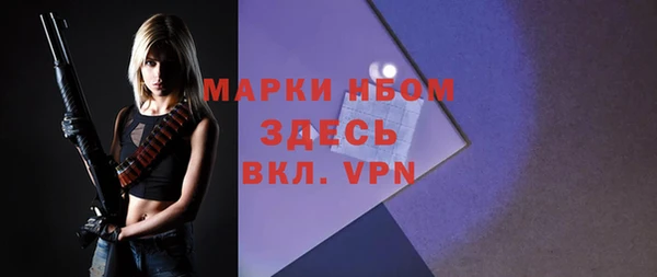 не бодяженный Гусев