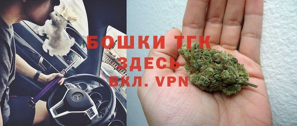 спайс Тавда