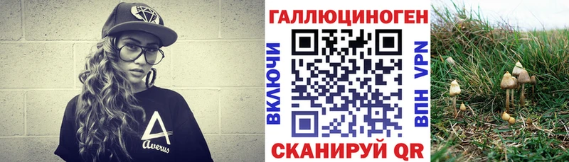 Псилоцибиновые грибы Magic Shrooms  где продают   Бологое 